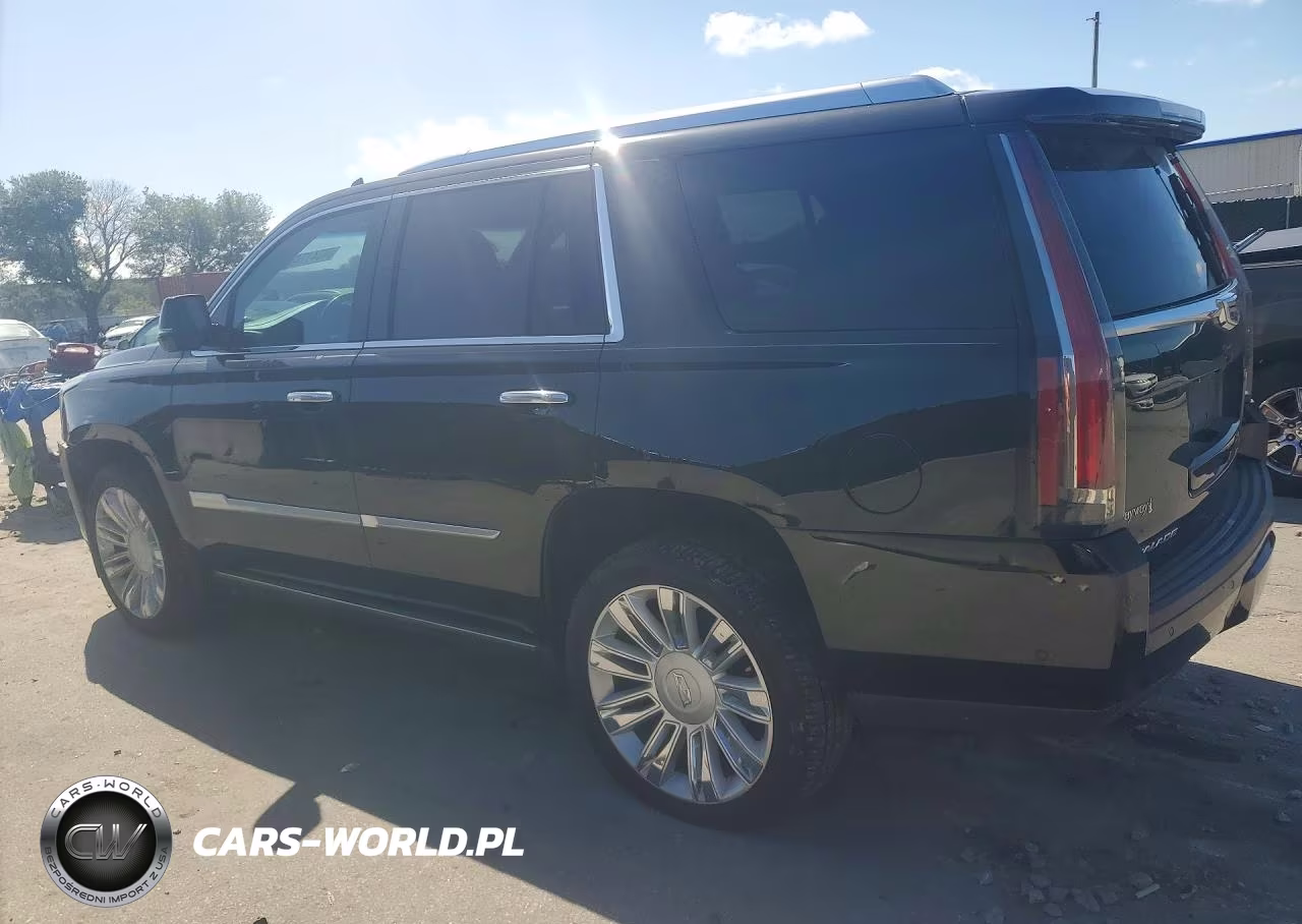 2019 Cadillac Escalade Platinum VIN:1GYS4DKJ3KR149523 - 2