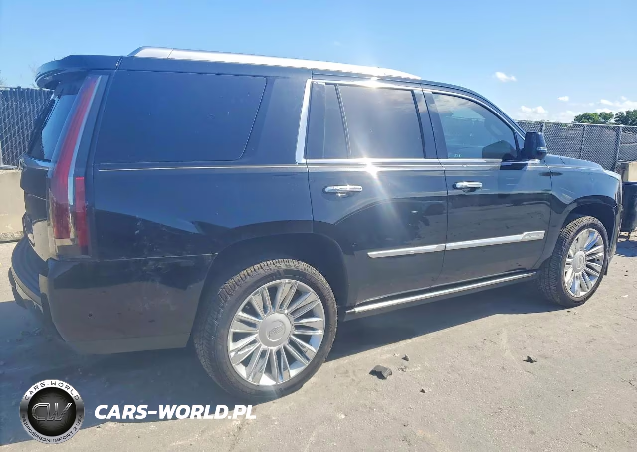 2019 Cadillac Escalade Platinum VIN:1GYS4DKJ3KR149523 - 3