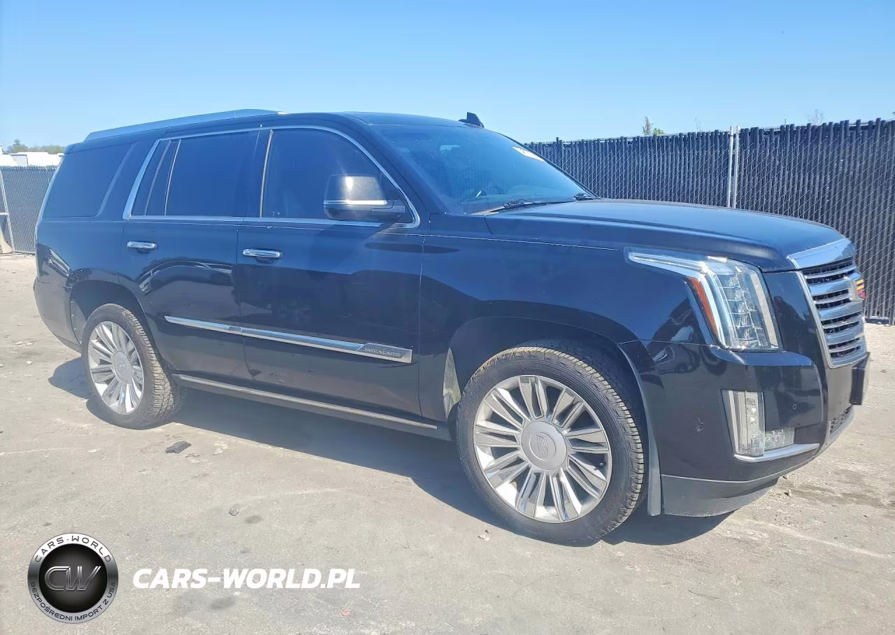 2019 Cadillac Escalade Platinum VIN:1GYS4DKJ3KR149523 - 4