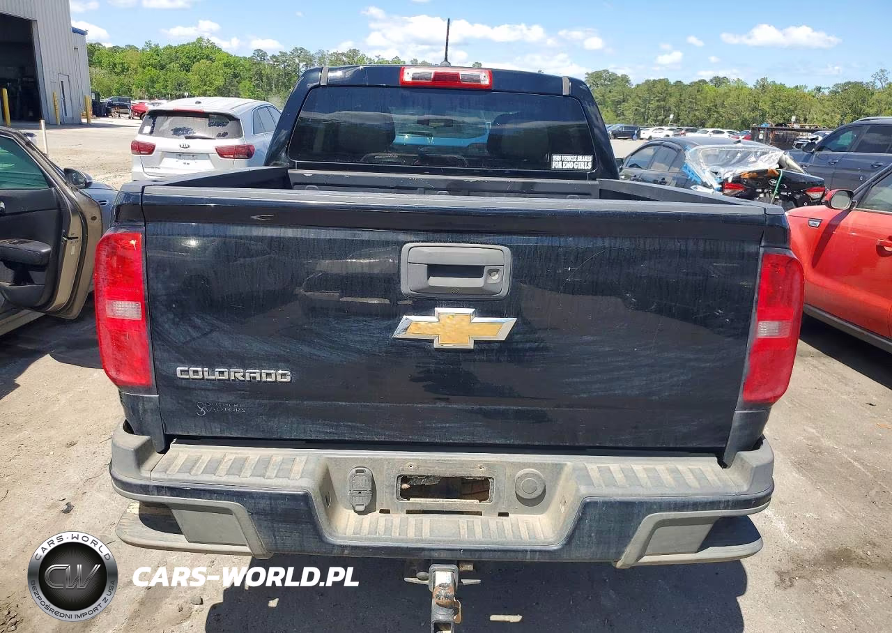 2019 Chevrolet Colorado VIN:1GCGSBEA7K1292362 - 6