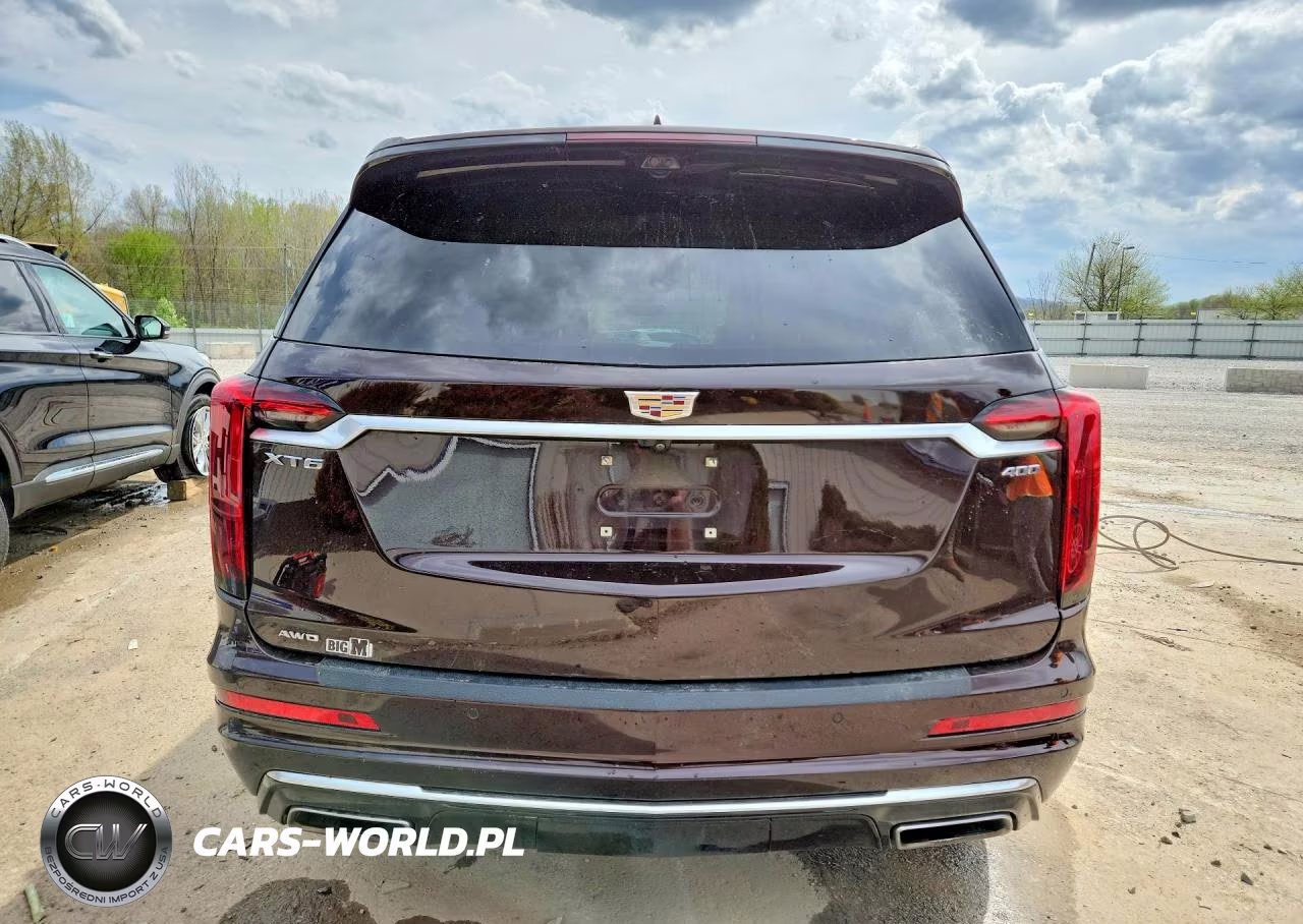 2021 Cadillac Xt6 Platinum Premium Luxury VIN:1GYKPFRS3MZ100097 - 6