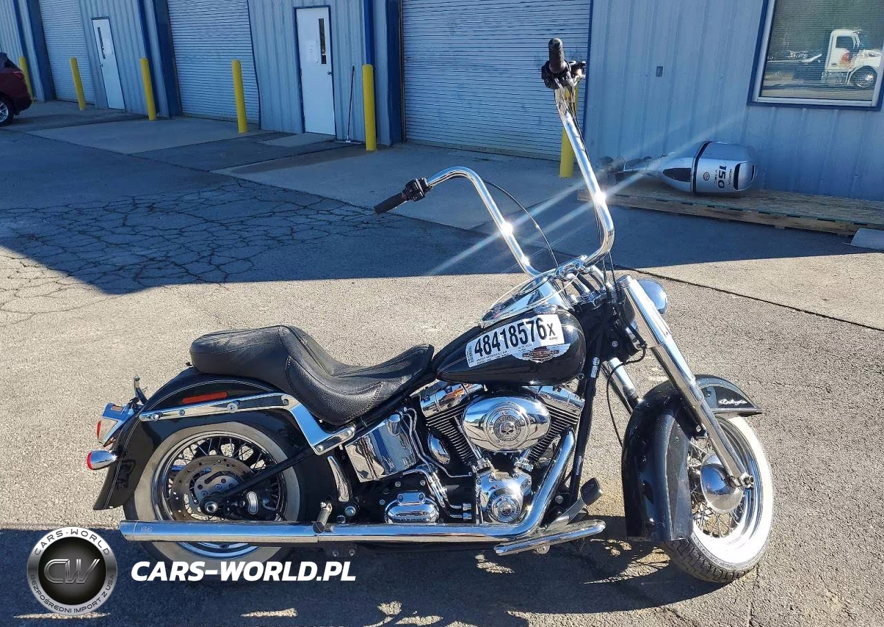 2010 Harley Davidson Flstn