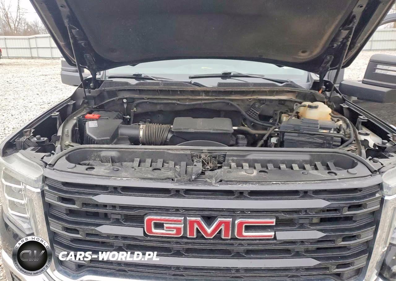 2020 GMC Sierra K2500 Heavy Duty VIN:1GT59LE79LF221973 - 11