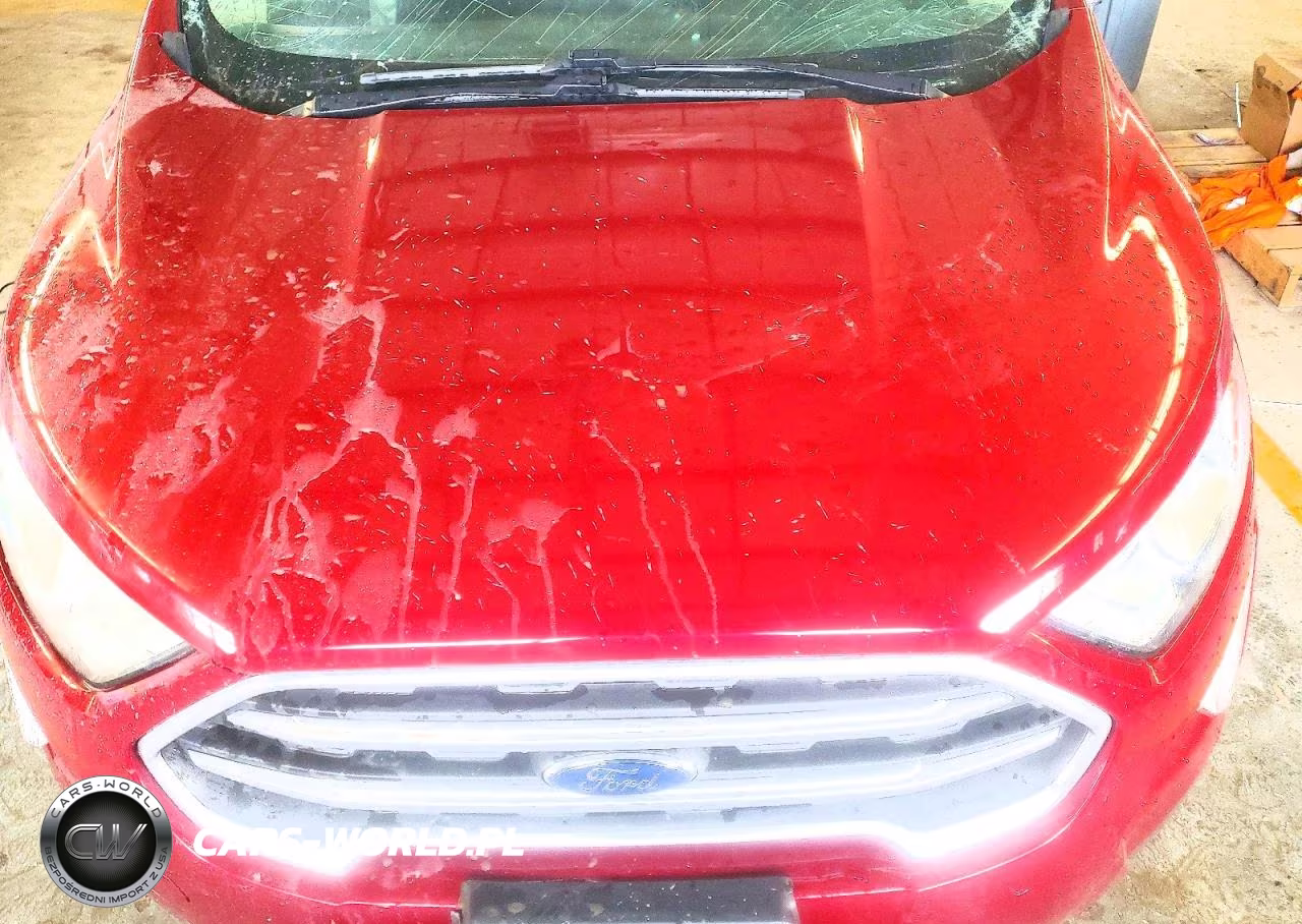 2020 Ford Ecosport Se VIN:MAJ6S3GL4LC317245 - 12