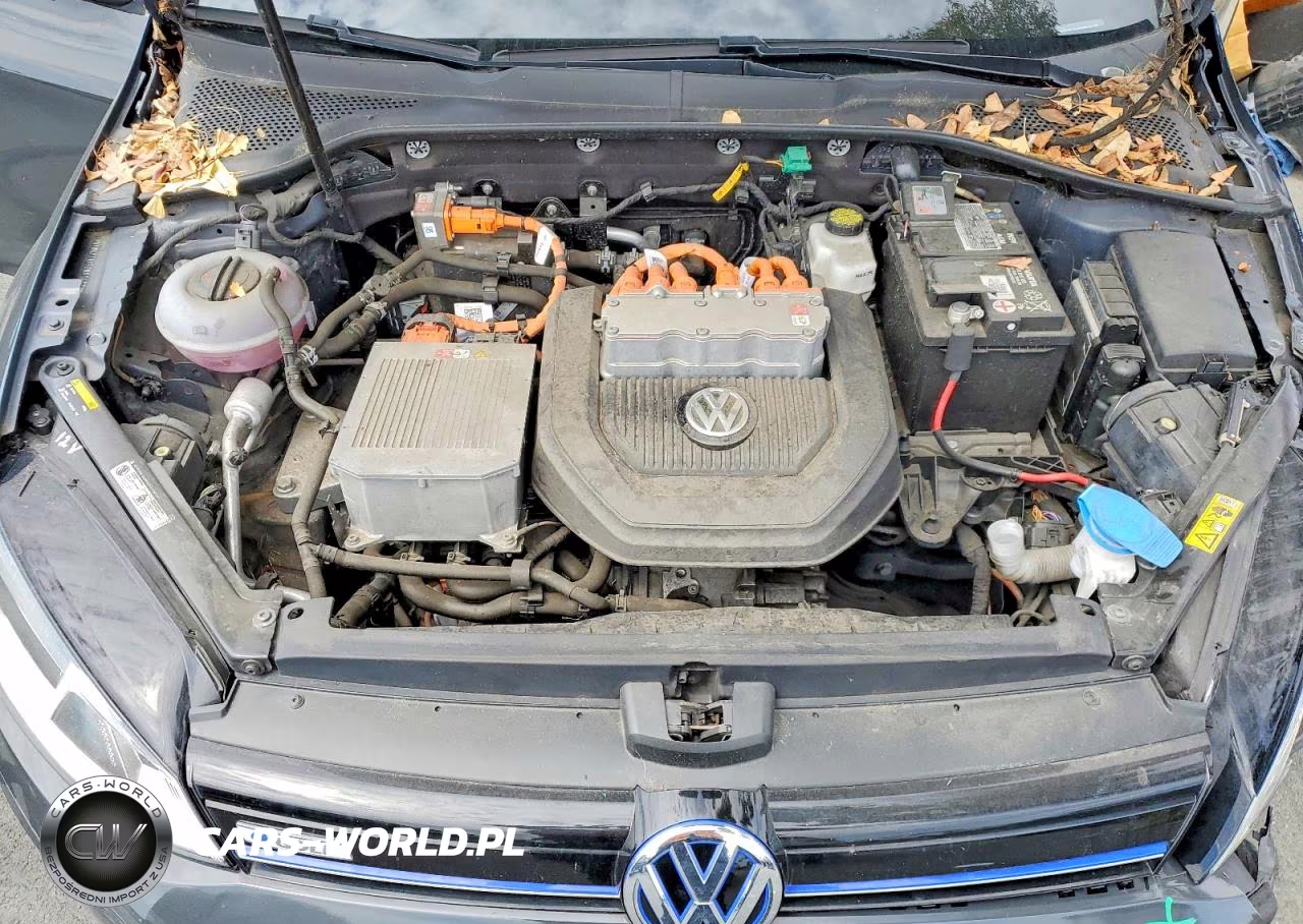 2016 Volkswagen E-Golf Se VIN:WVWKP7AU5GW914170 - 11