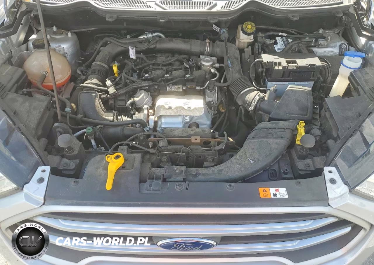 2021 Ford Ecosport Se VIN:MAJ3S2GE0MC395750 - 12