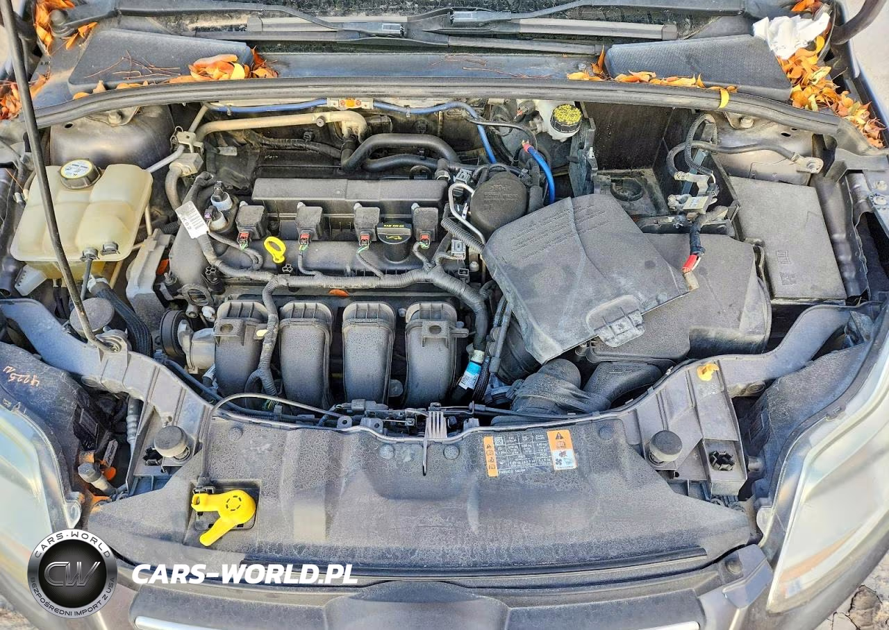 FORD FOCUS SE VIN:1FAHP3K23CL415420 - 11