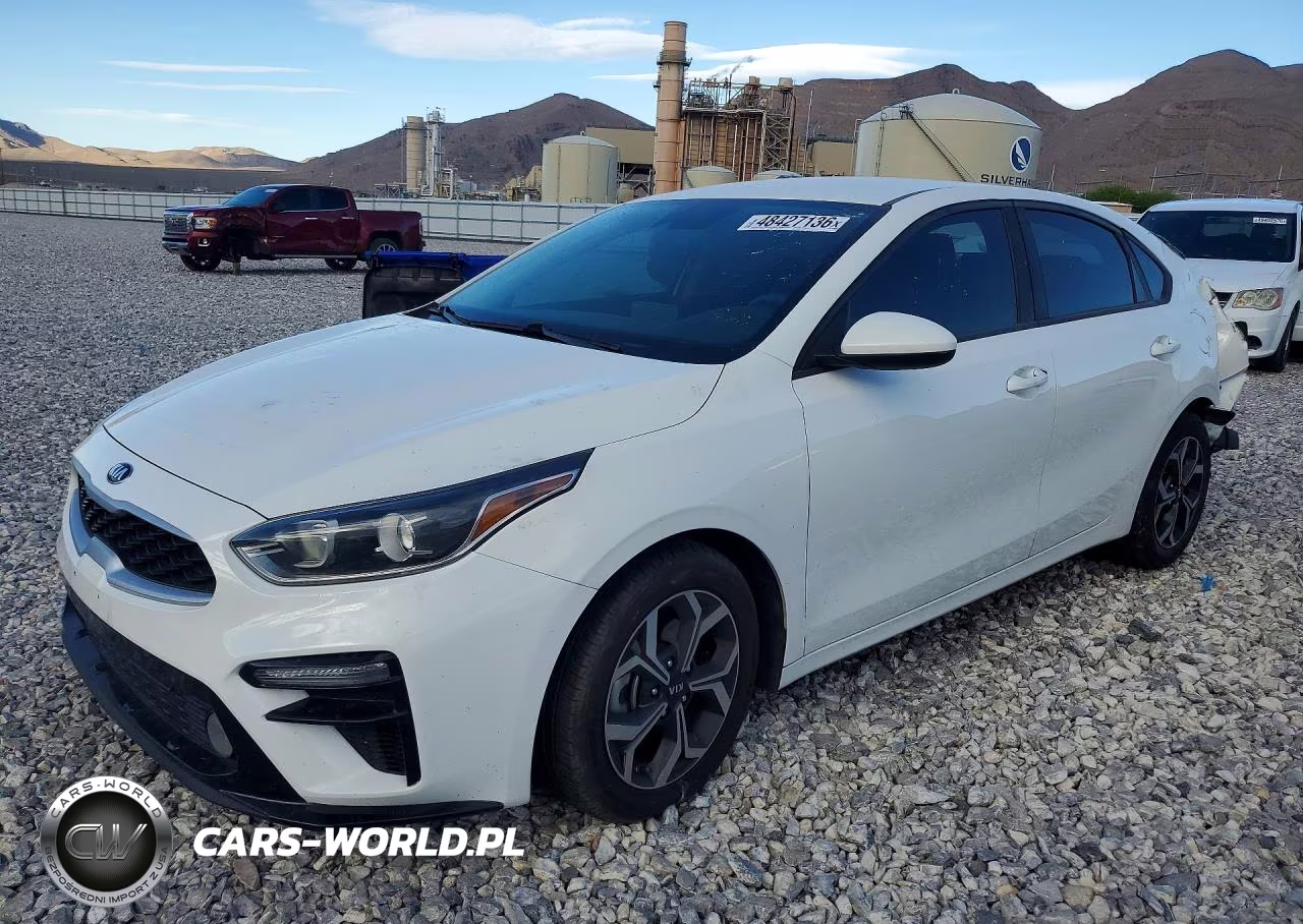 2019 Kia Forte Lxs