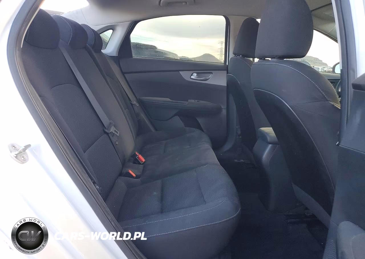 2019 Kia Forte Lxs VIN:3KPF24AD0KE011362 - 10