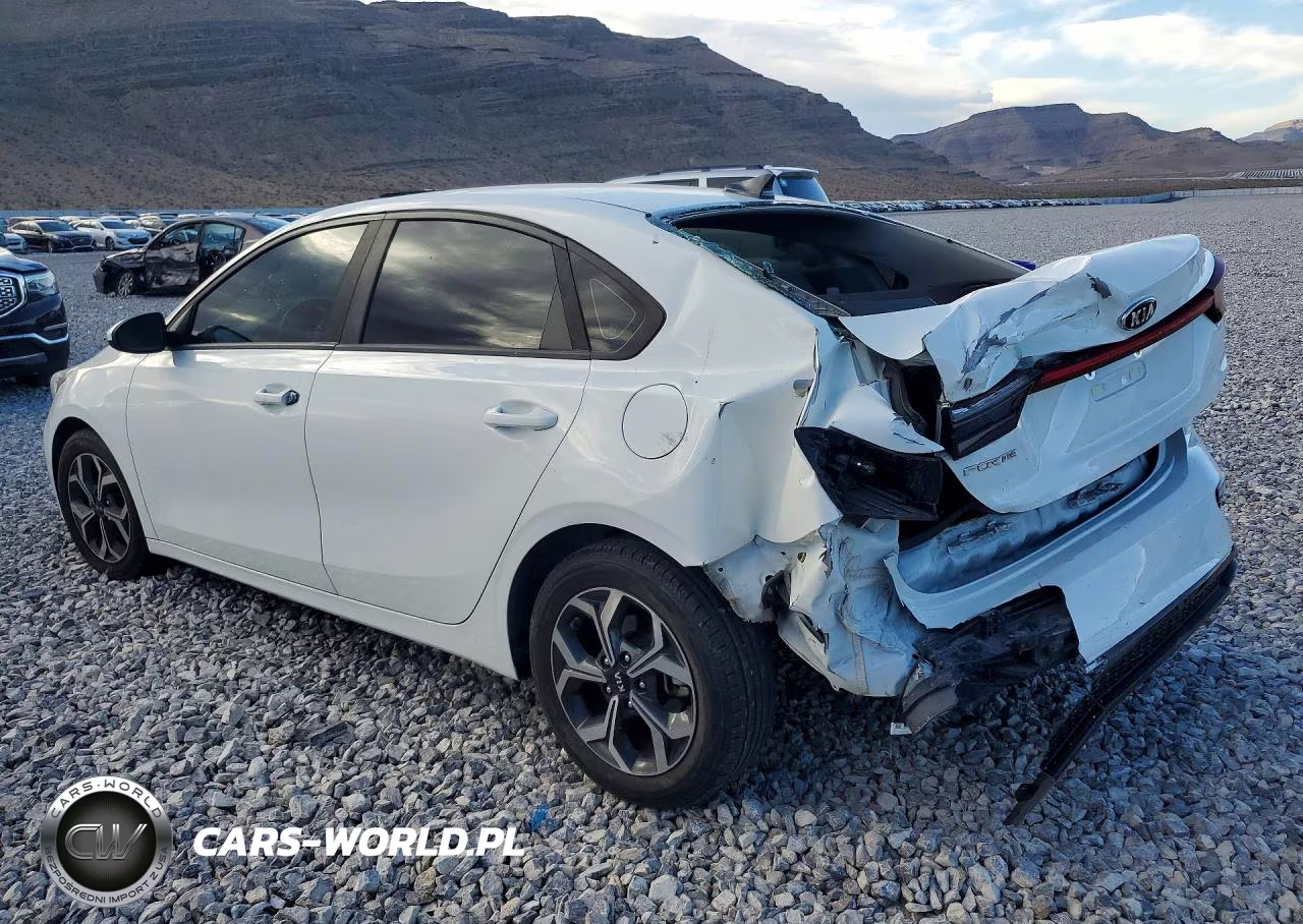 2019 Kia Forte Lxs VIN:3KPF24AD0KE011362 - 2