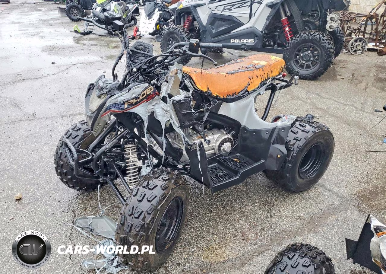 2025 Polaris Atv VIN:RF3YPA206ST021260 - 2