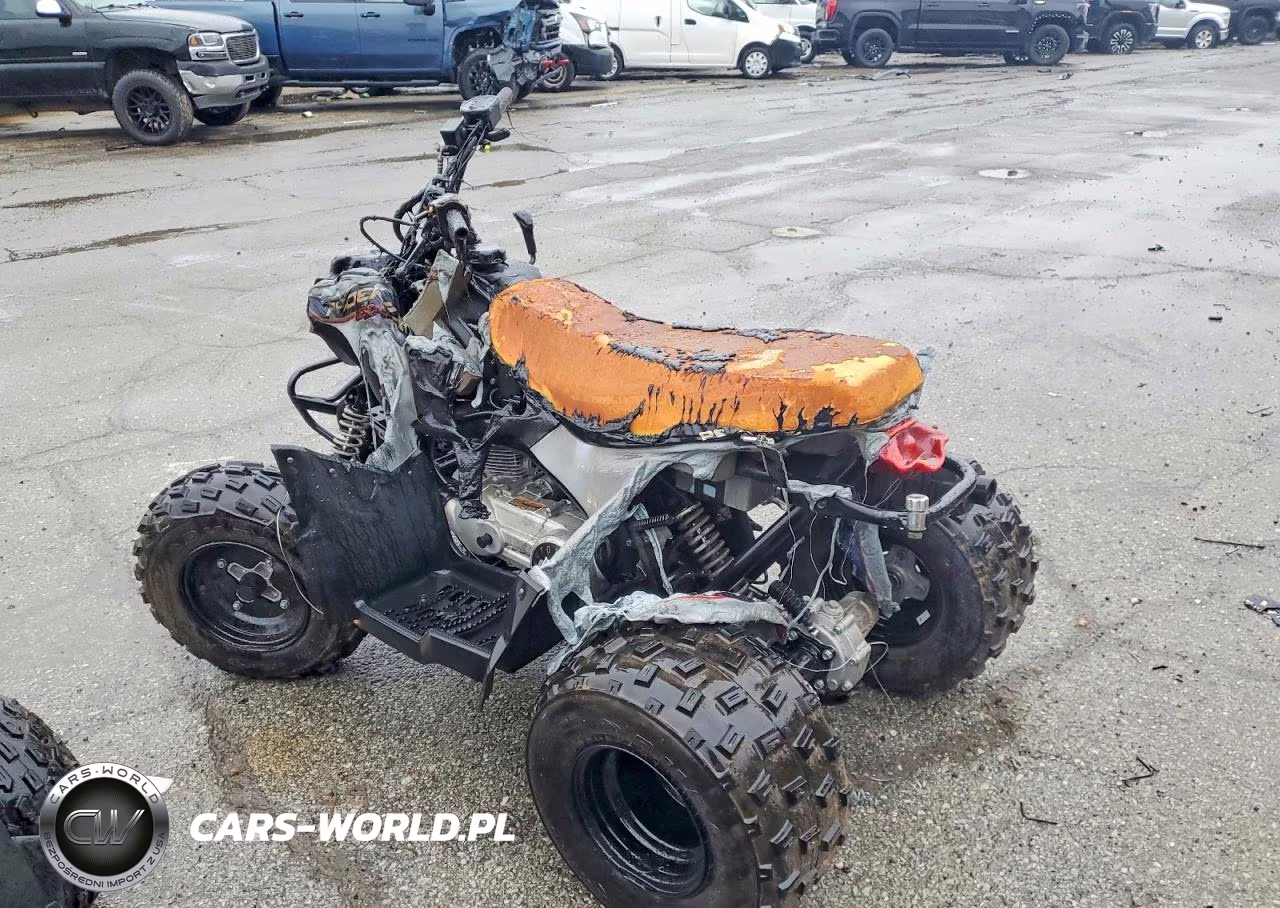 2025 Polaris Atv VIN:RF3YPA206ST021260 - 3