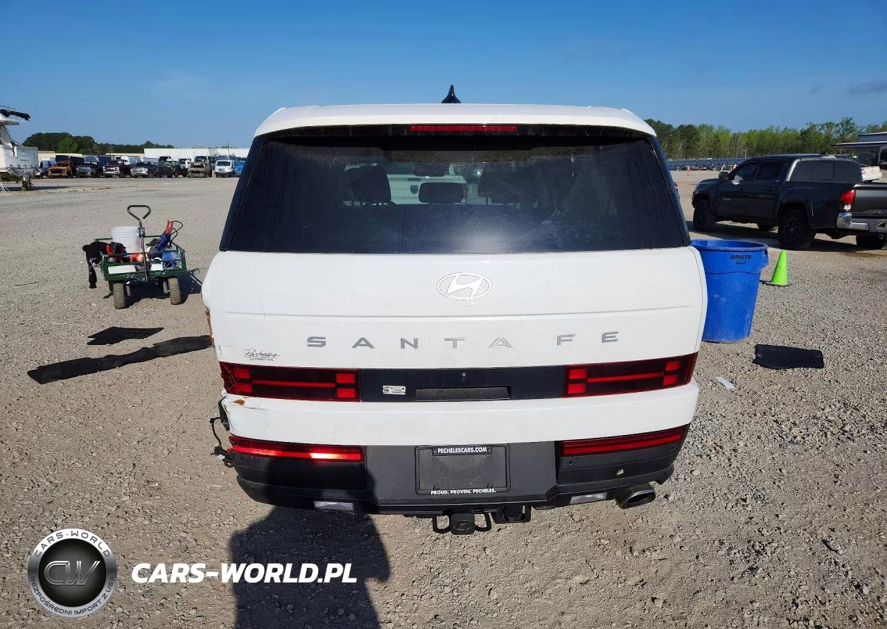 2025 Hyundai Santa Fe Se VIN:5NMP14GL0SH110374 - 6