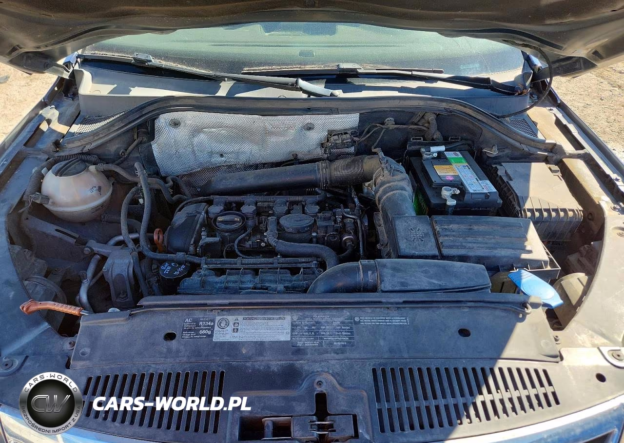 2011 Volkswagen Tiguan S VIN:WVGBV7AX8BW525186 - 11