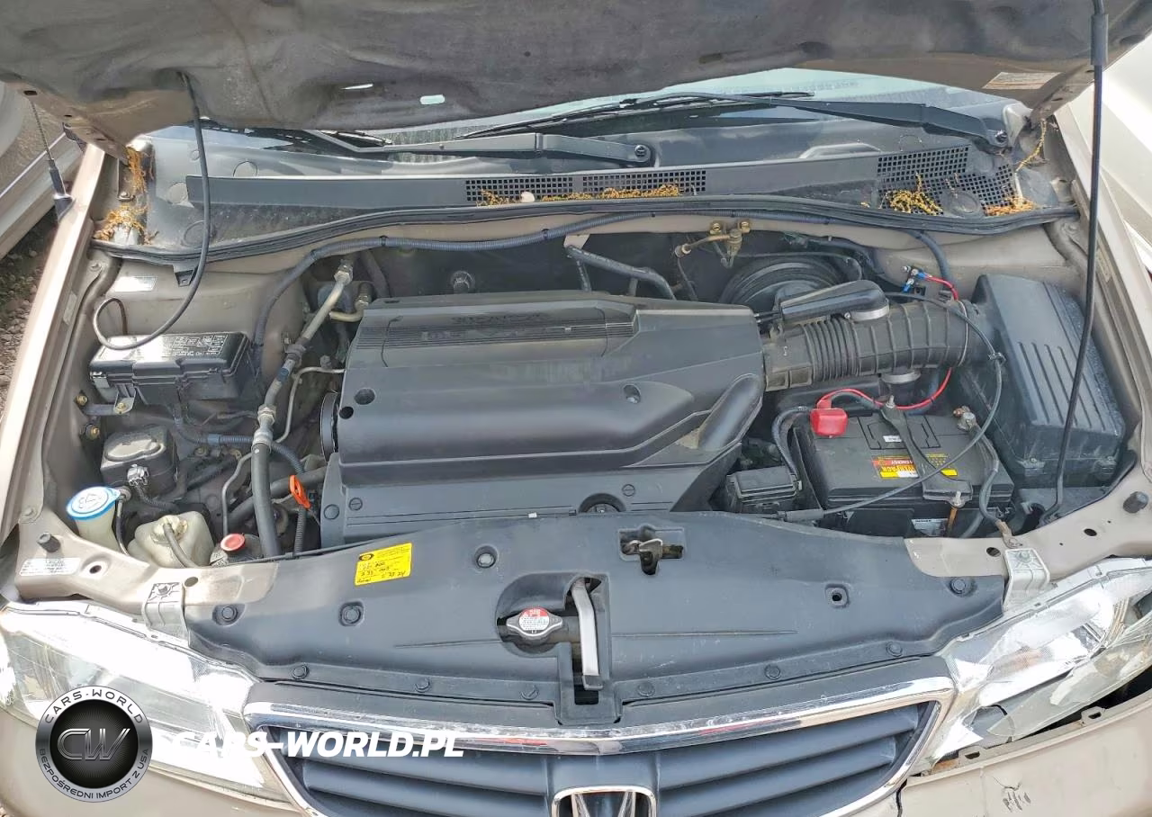 2003 Honda Odyssey Exl VIN:5FNRL18953B047182 - 12