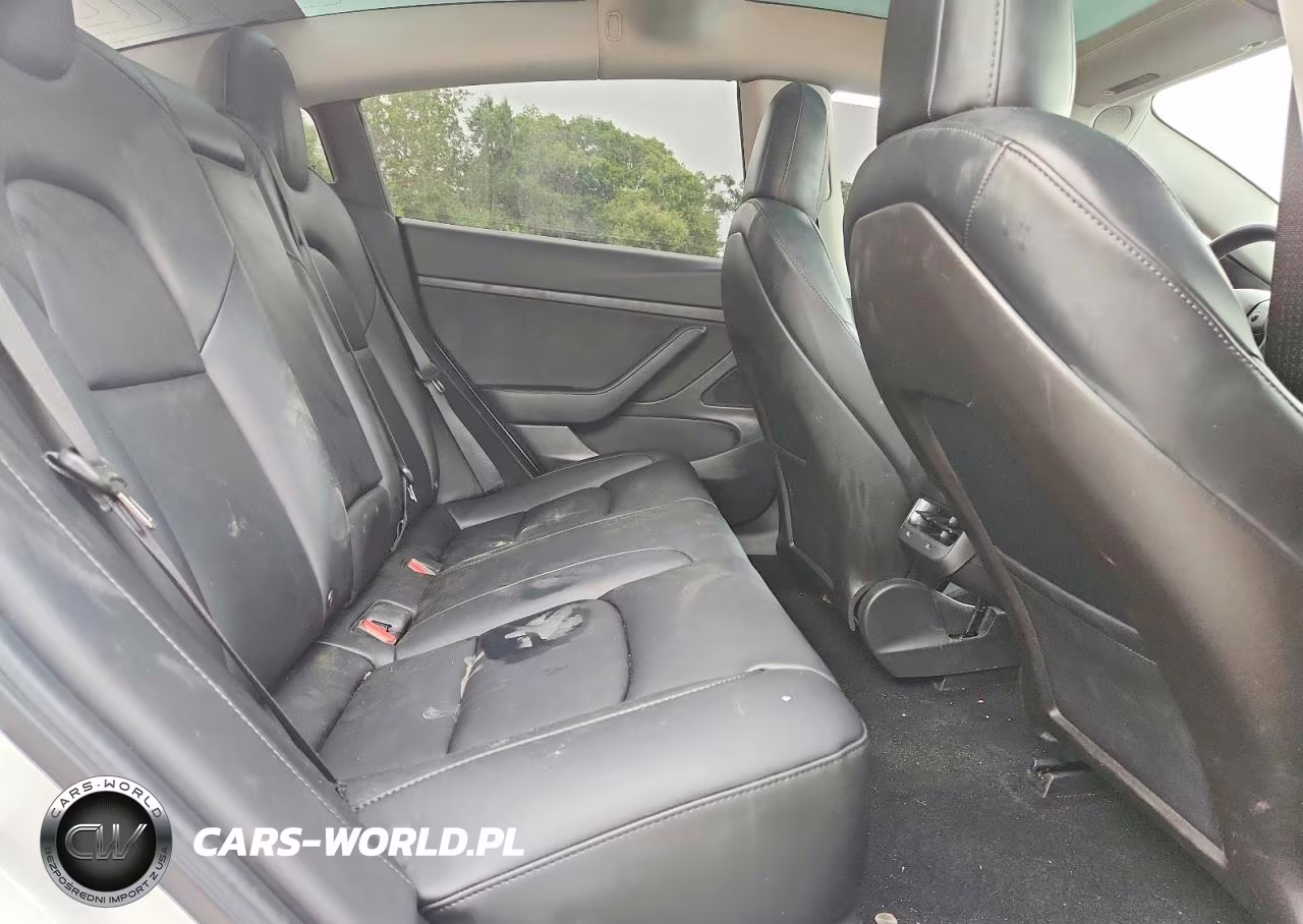 2020 Tesla Model 3 VIN:5YJ3E1EA5LF707199 - 10