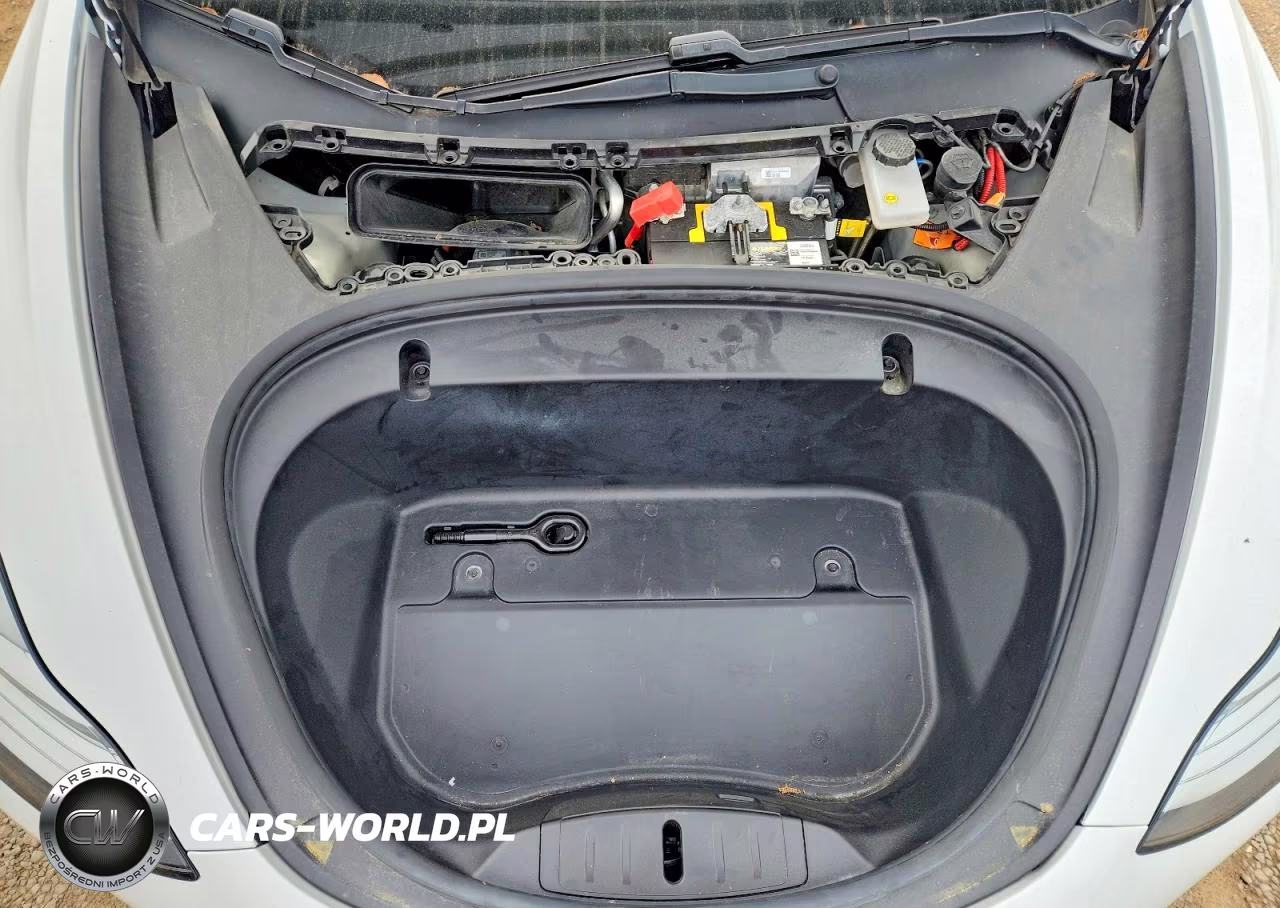 2020 Tesla Model 3 VIN:5YJ3E1EA5LF707199 - 11