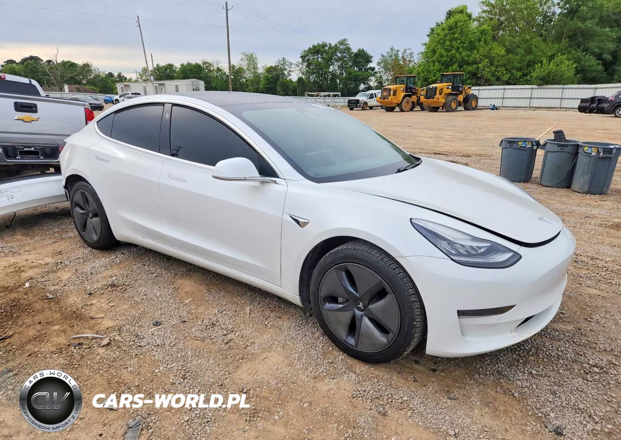 2020 Tesla Model 3 VIN:5YJ3E1EA5LF707199 - 4