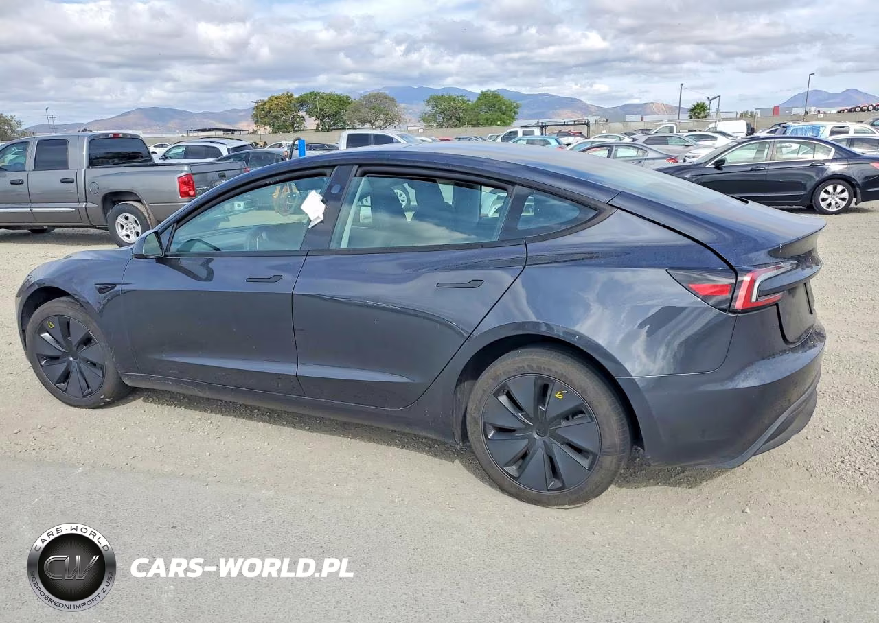 2025 Tesla Model 3 VIN:5YJ3E1EA3SF993861 - 2