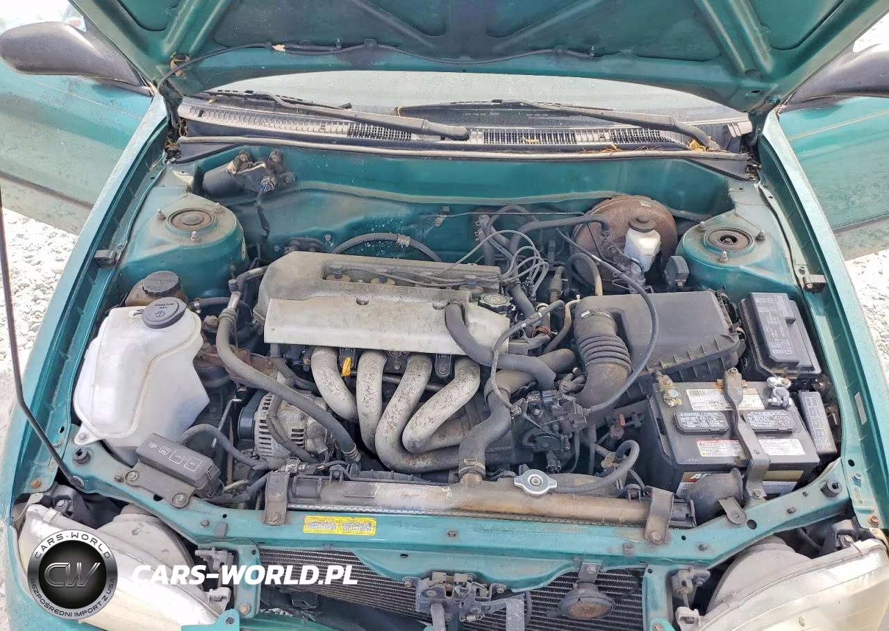 1998 Toyota Corolla VIN:2T1BR12E5WC066491 - 11