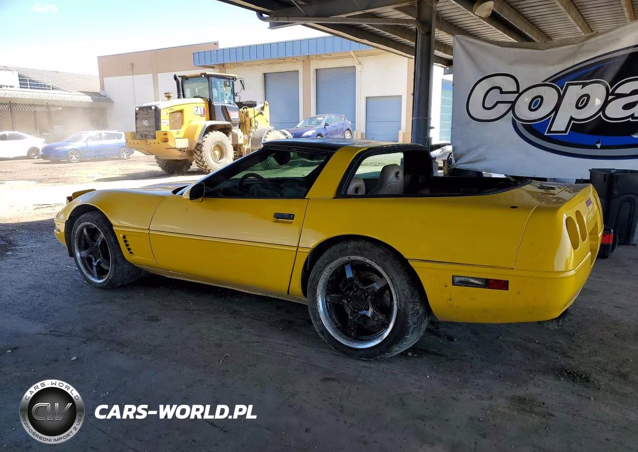 1995 Chevrolet Corvette VIN:1G1YY22P2S5100438 - 2