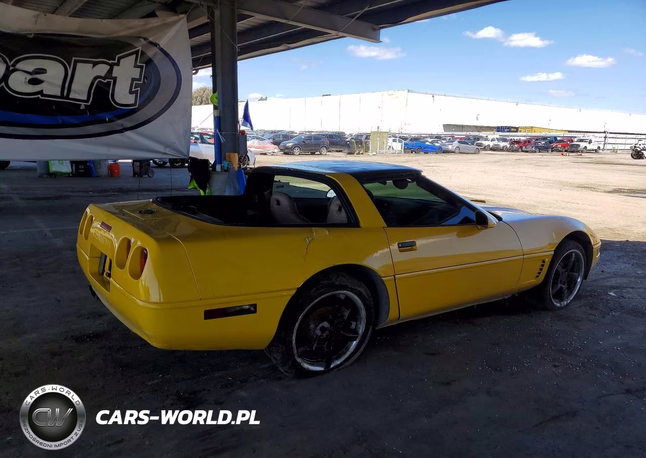 1995 Chevrolet Corvette VIN:1G1YY22P2S5100438 - 3