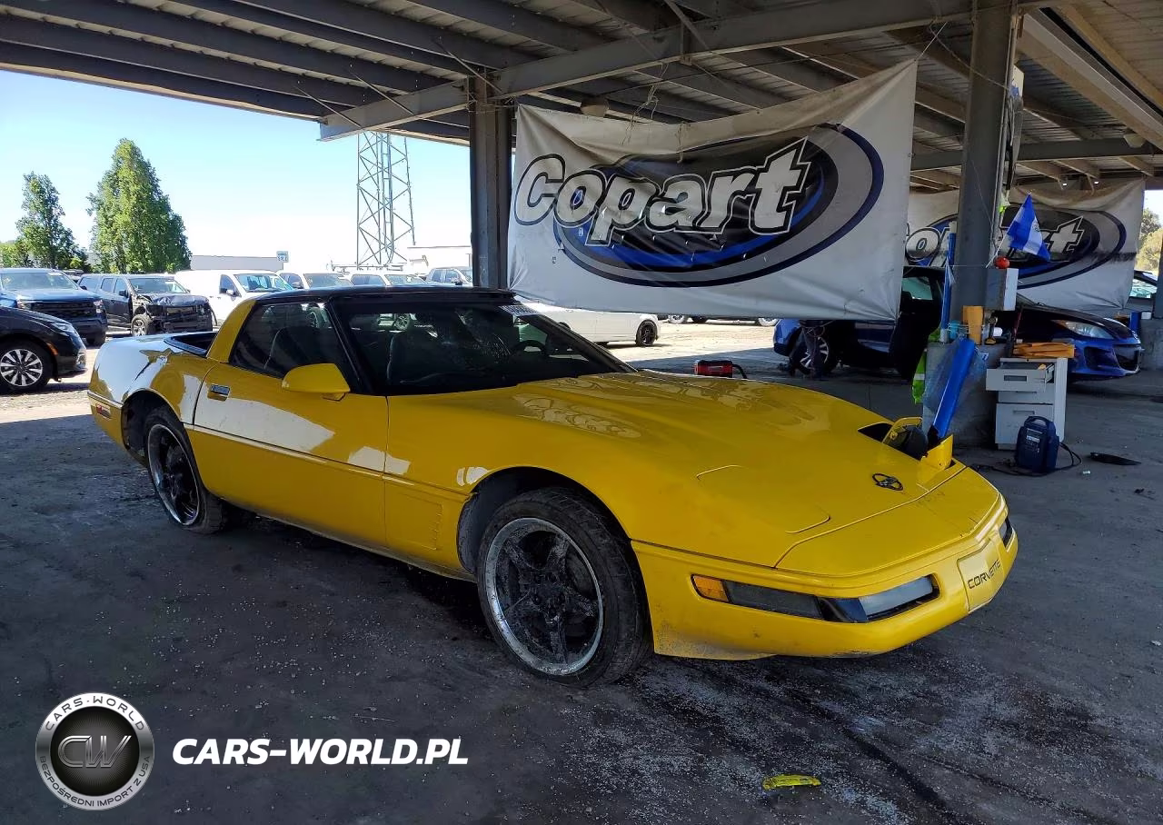 1995 Chevrolet Corvette VIN:1G1YY22P2S5100438 - 4