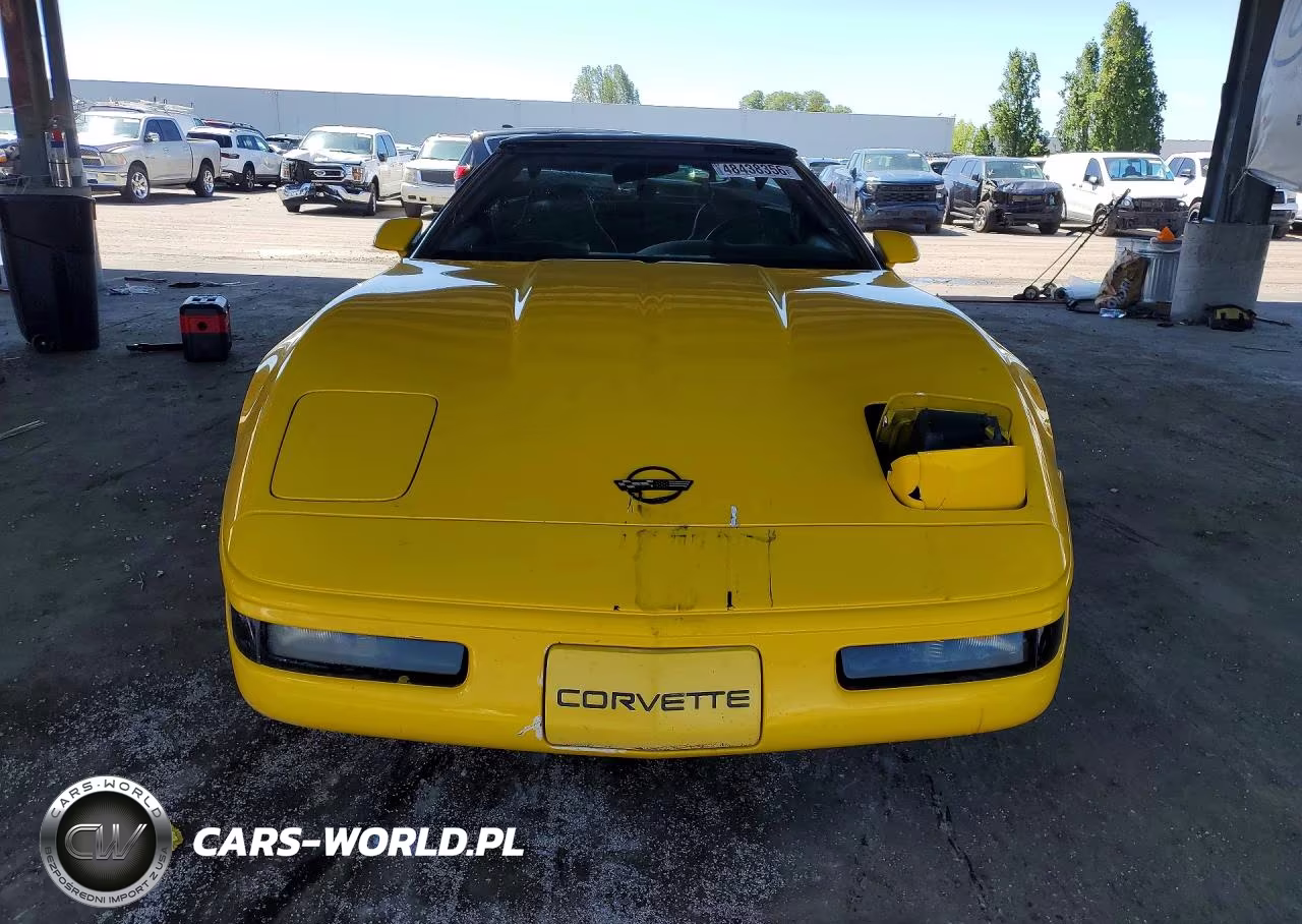 1995 Chevrolet Corvette VIN:1G1YY22P2S5100438 - 5