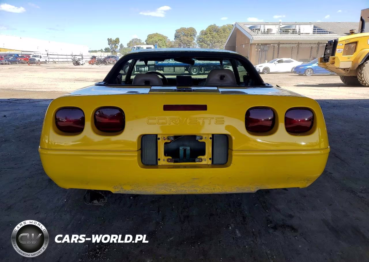 1995 Chevrolet Corvette VIN:1G1YY22P2S5100438 - 6