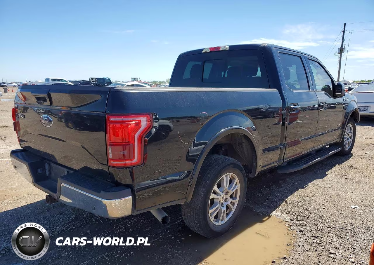 2016 Ford F150 Supercrew VIN:1FTEW1CP4GKD87234 - 3