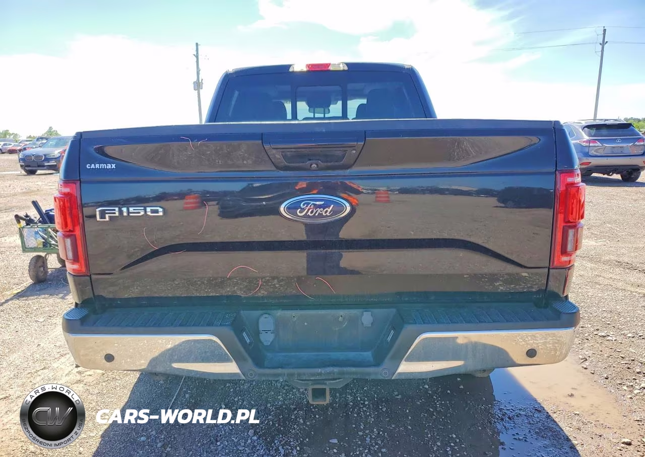 2016 Ford F150 Supercrew VIN:1FTEW1CP4GKD87234 - 6