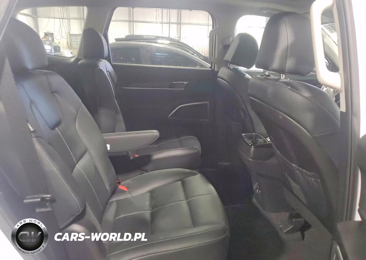 2024 Kia Telluride Ex VIN:5XYP34GC8RG463783 - 11