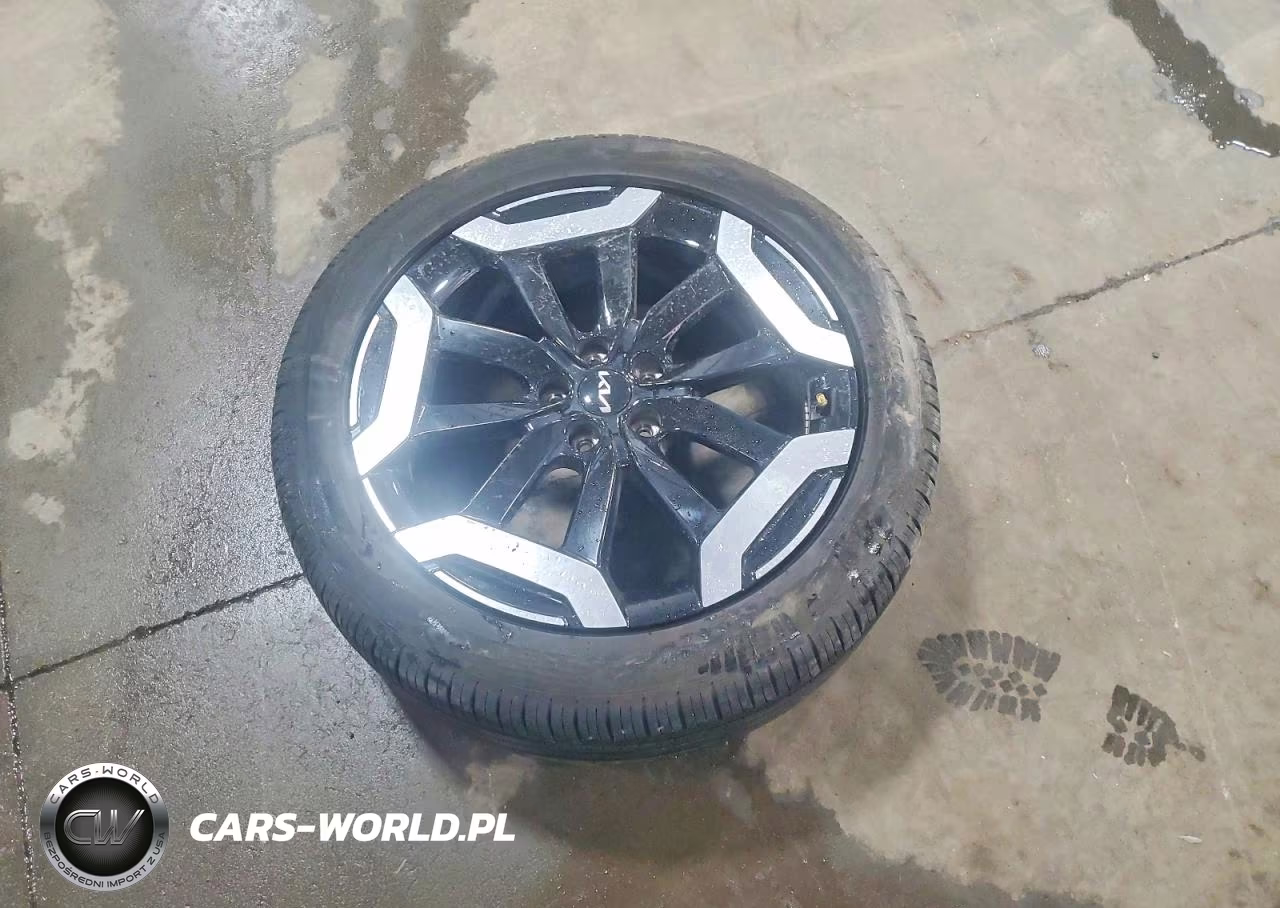 2024 Kia Telluride Ex VIN:5XYP34GC8RG463783 - 13