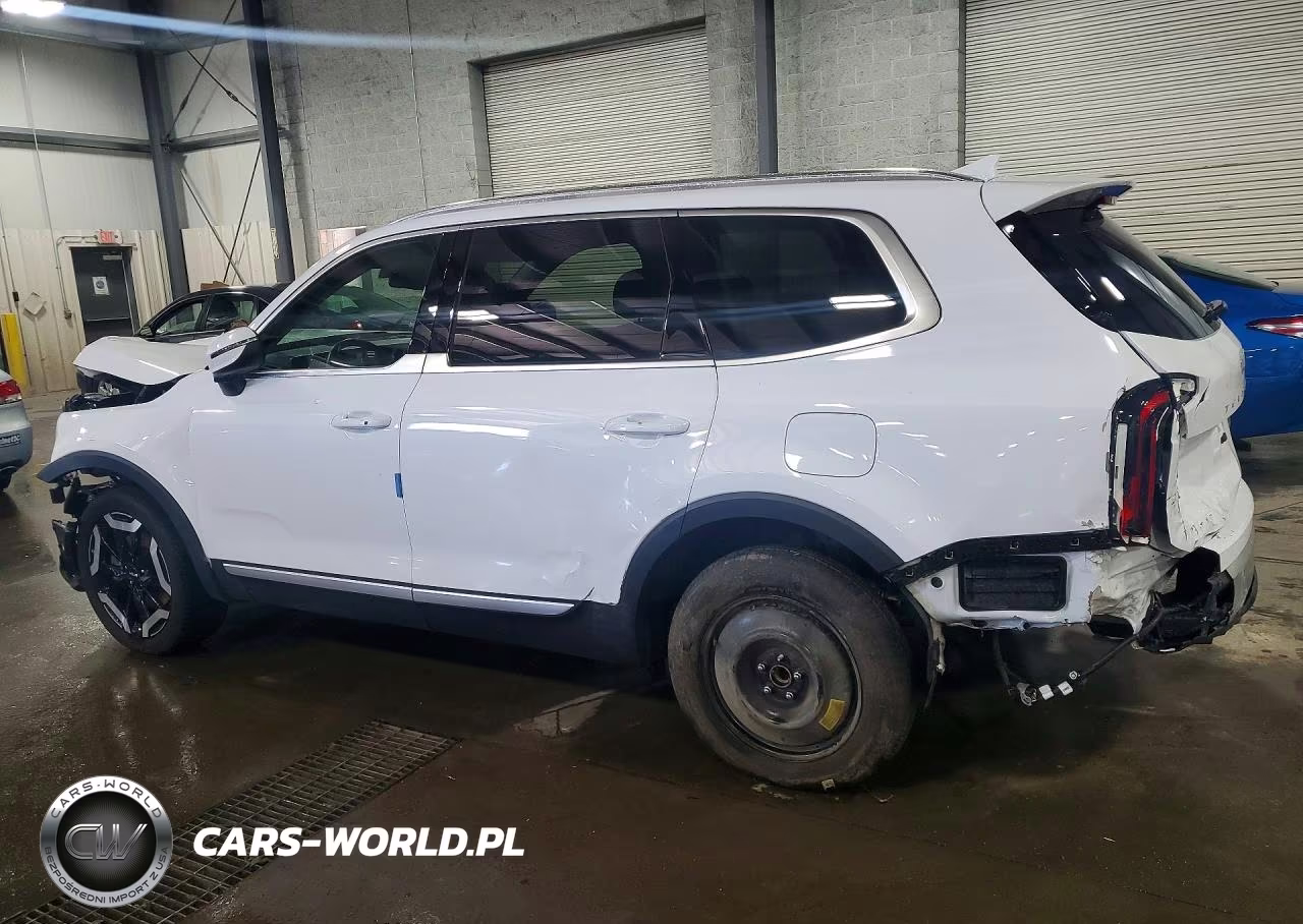 2024 Kia Telluride Ex VIN:5XYP34GC8RG463783 - 2