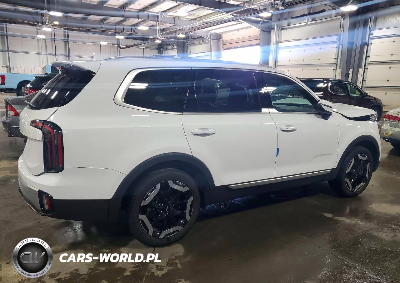 2024 Kia Telluride Ex VIN:5XYP34GC8RG463783 - 3