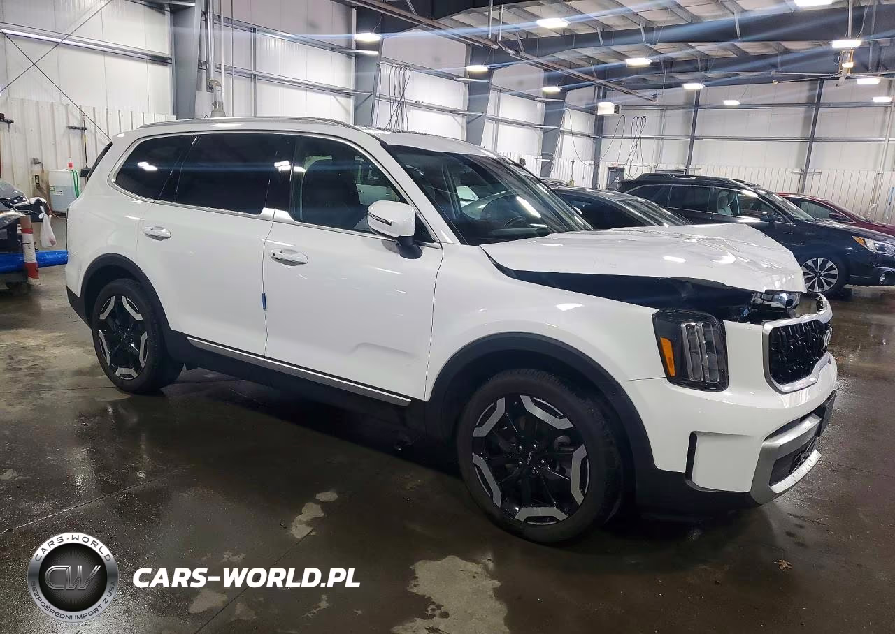 2024 Kia Telluride Ex VIN:5XYP34GC8RG463783 - 4
