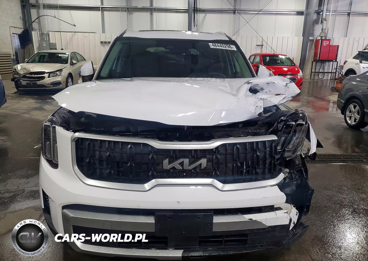 2024 Kia Telluride Ex VIN:5XYP34GC8RG463783 - 5