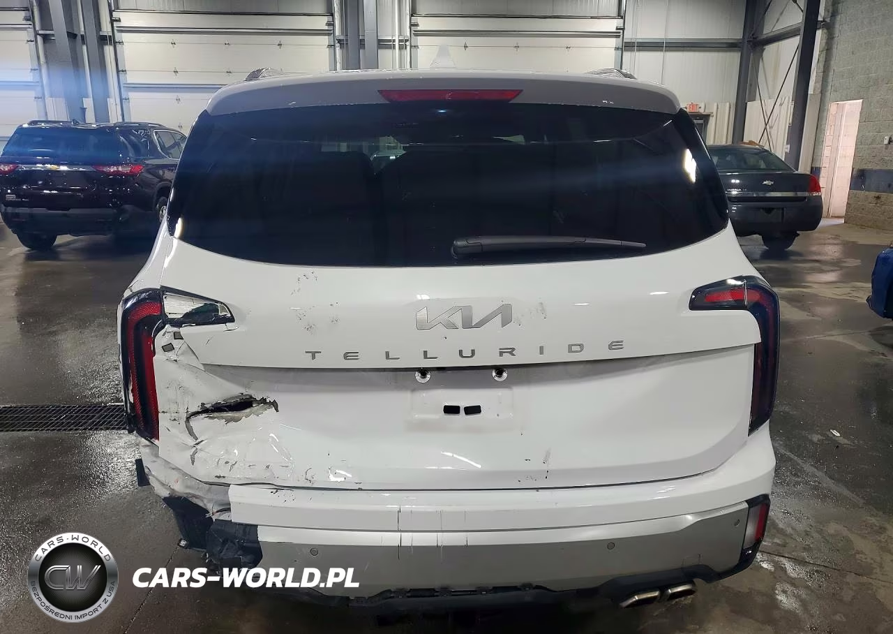 2024 Kia Telluride Ex VIN:5XYP34GC8RG463783 - 6