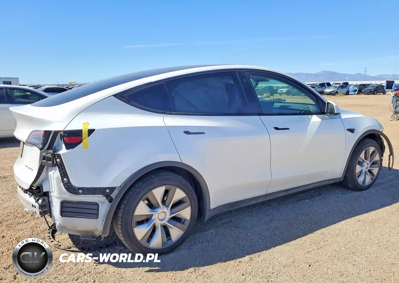 2023 Tesla Model Y VIN:7SAYGDEE7PA034748 - 3