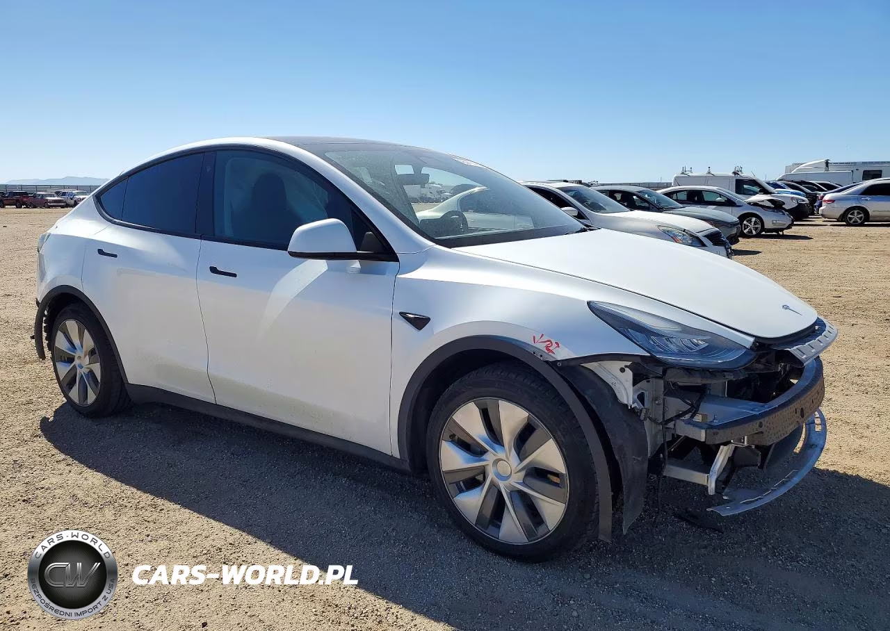 2023 Tesla Model Y VIN:7SAYGDEE7PA034748 - 4