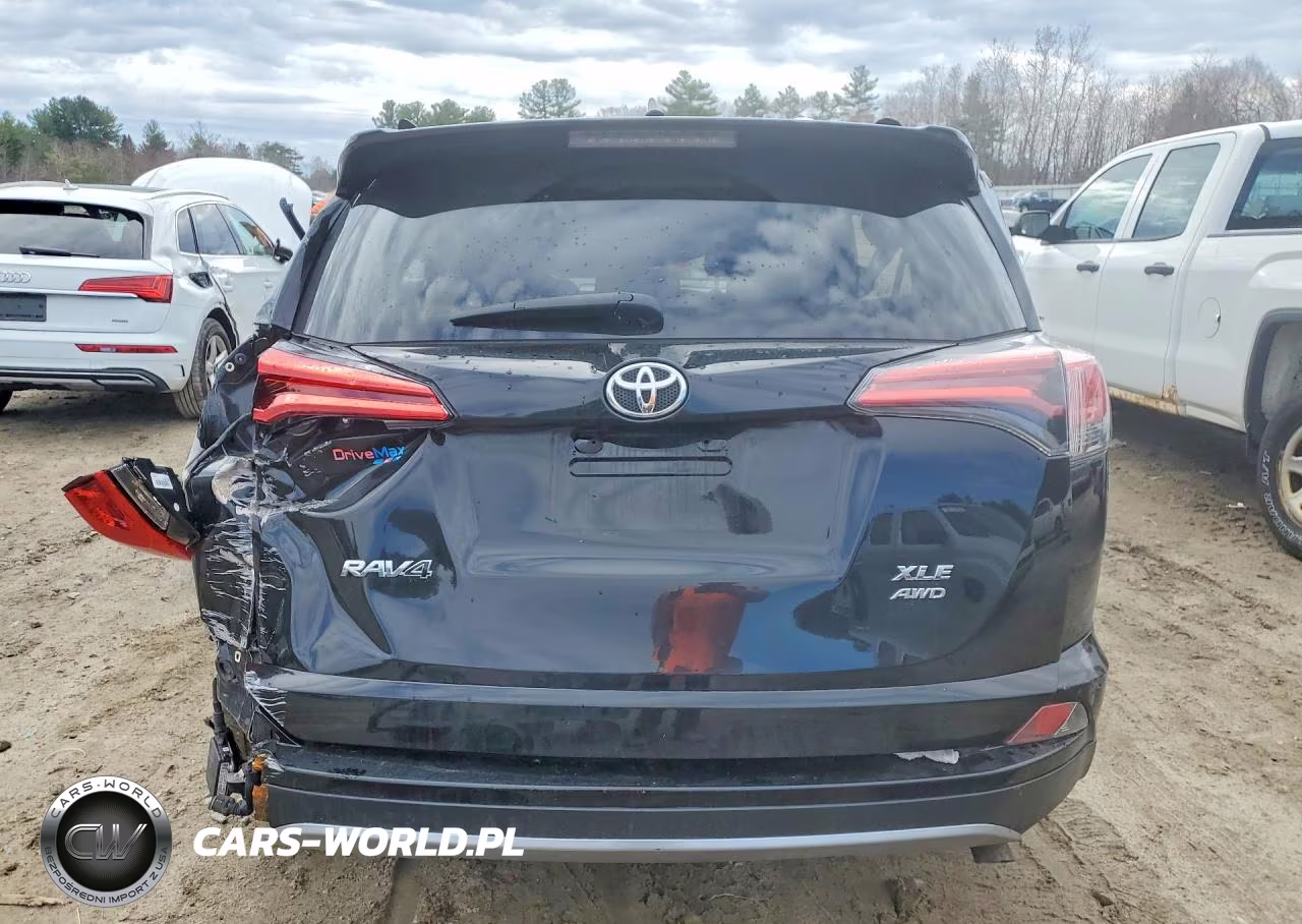 2018 Toyota Rav4 Xle VIN:2T3RFREVXJW721874 - 6