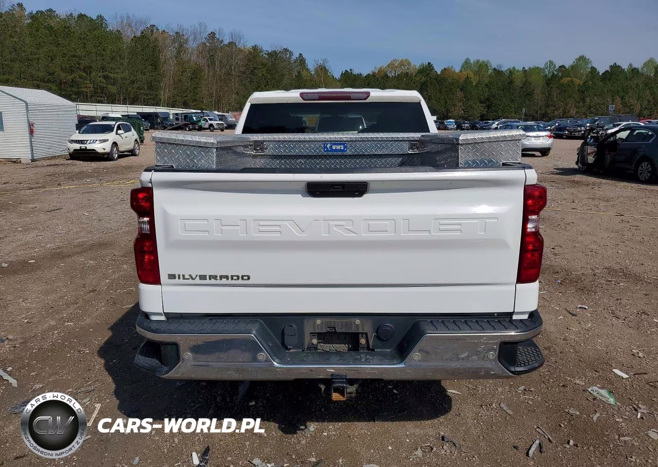 2020 Chevrolet Silverado C1500 VIN:1GCRWAEF5LZ244462 - 6