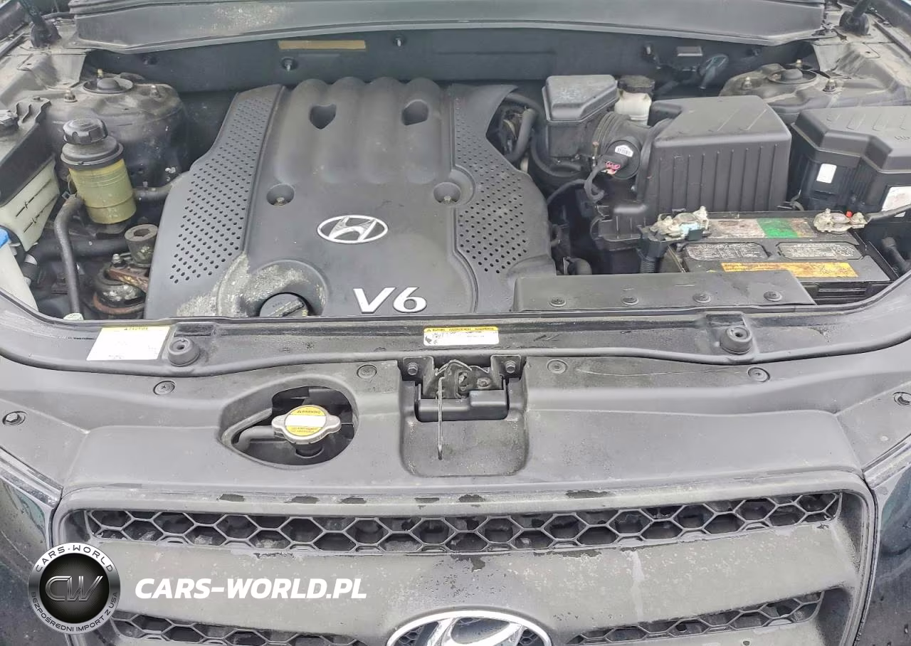 2008 Hyundai Santa Fe Gls VIN:5NMSG13D18H138618 - 12
