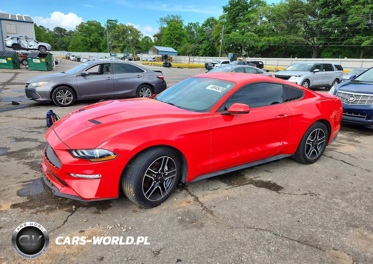 2019 Ford Mustang
