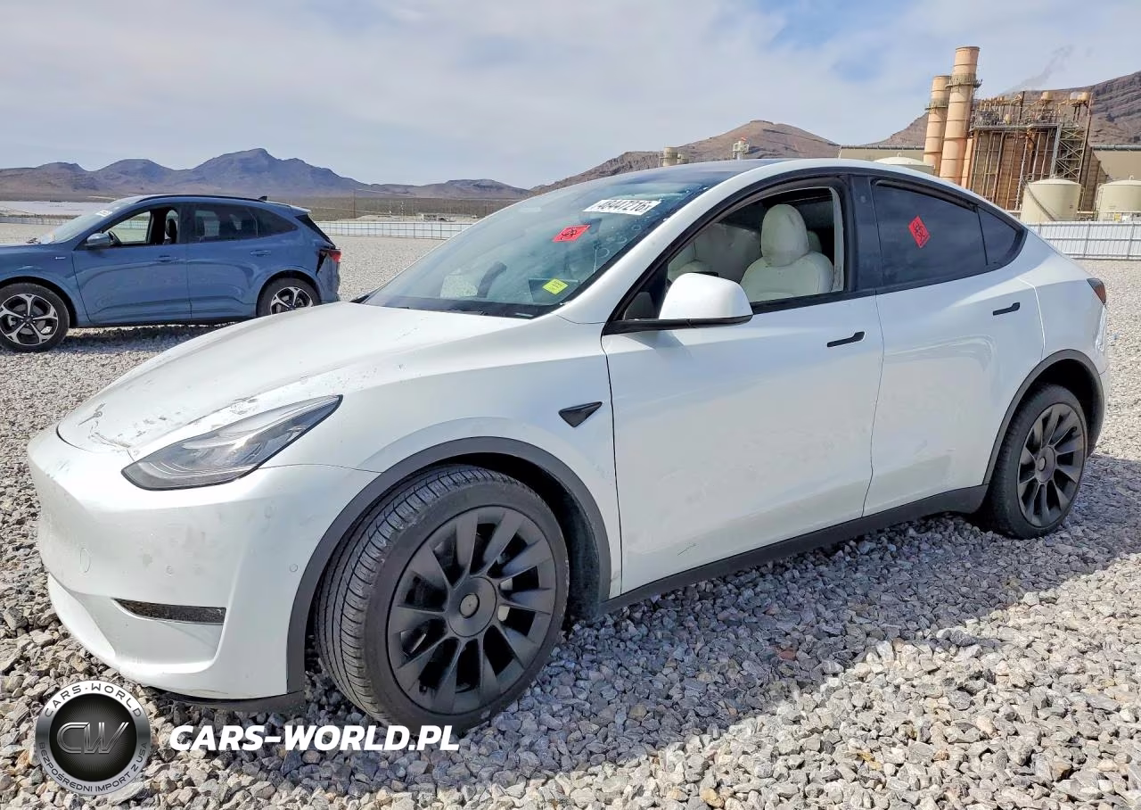 2020 Tesla Model Y