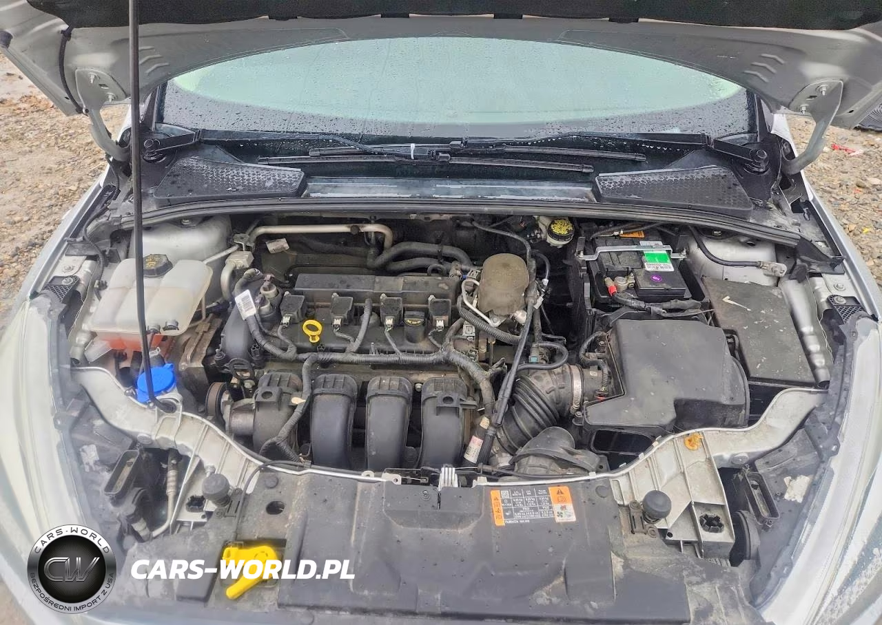 2015 Ford Focus Se VIN:1FADP3F20FL370241 - 11