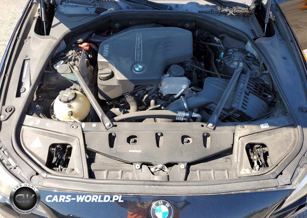 2015 BMW 528 Xi VIN:WBA5A7C55FD627424 - 11