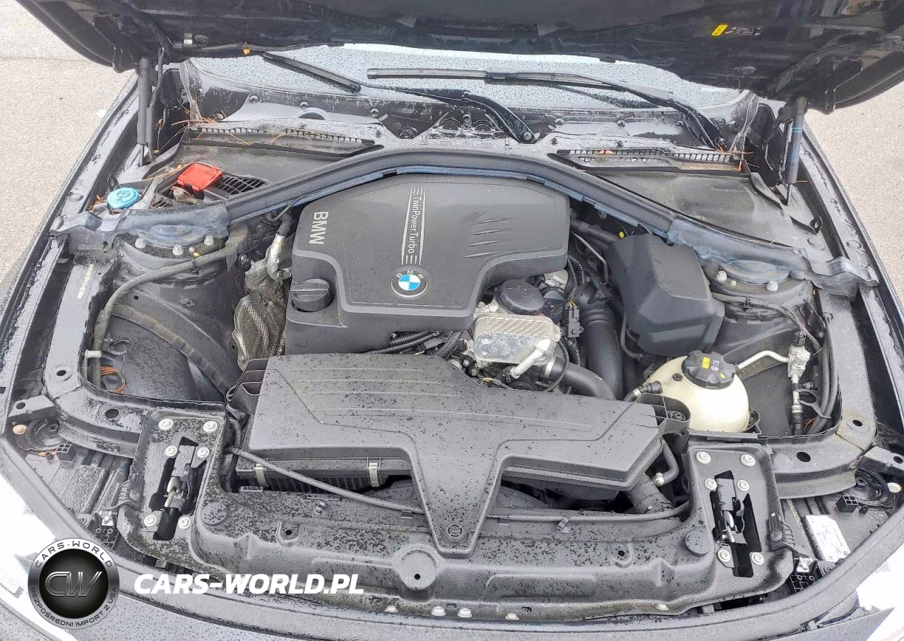 2018 BMW 320 Xi VIN:WBA8A3C5XJA492229 - 11