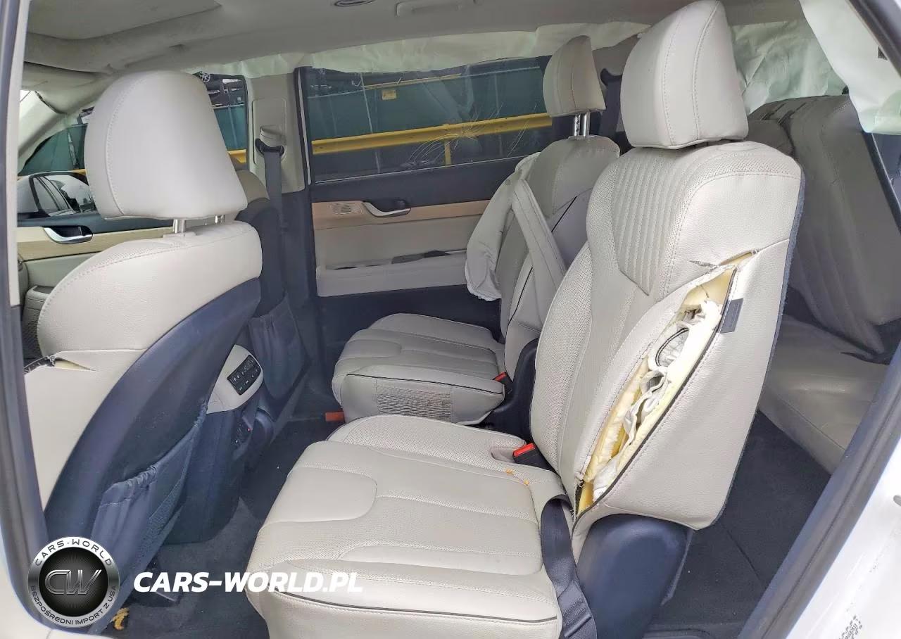 2024 Hyundai Palisade Limited VIN:KM8R5DGE9RU682833 - 10