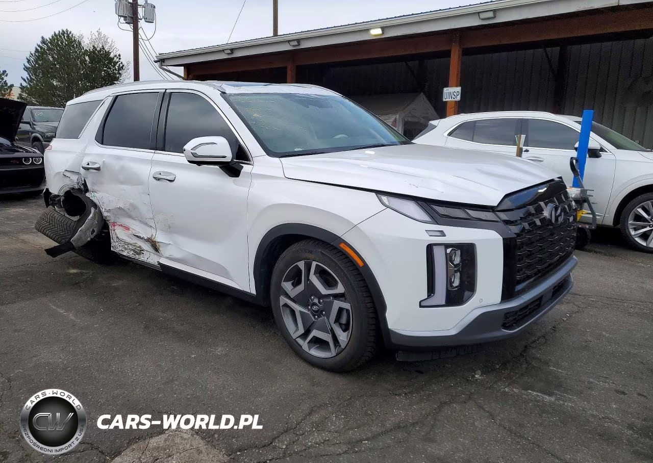2024 Hyundai Palisade Limited VIN:KM8R5DGE9RU682833 - 4